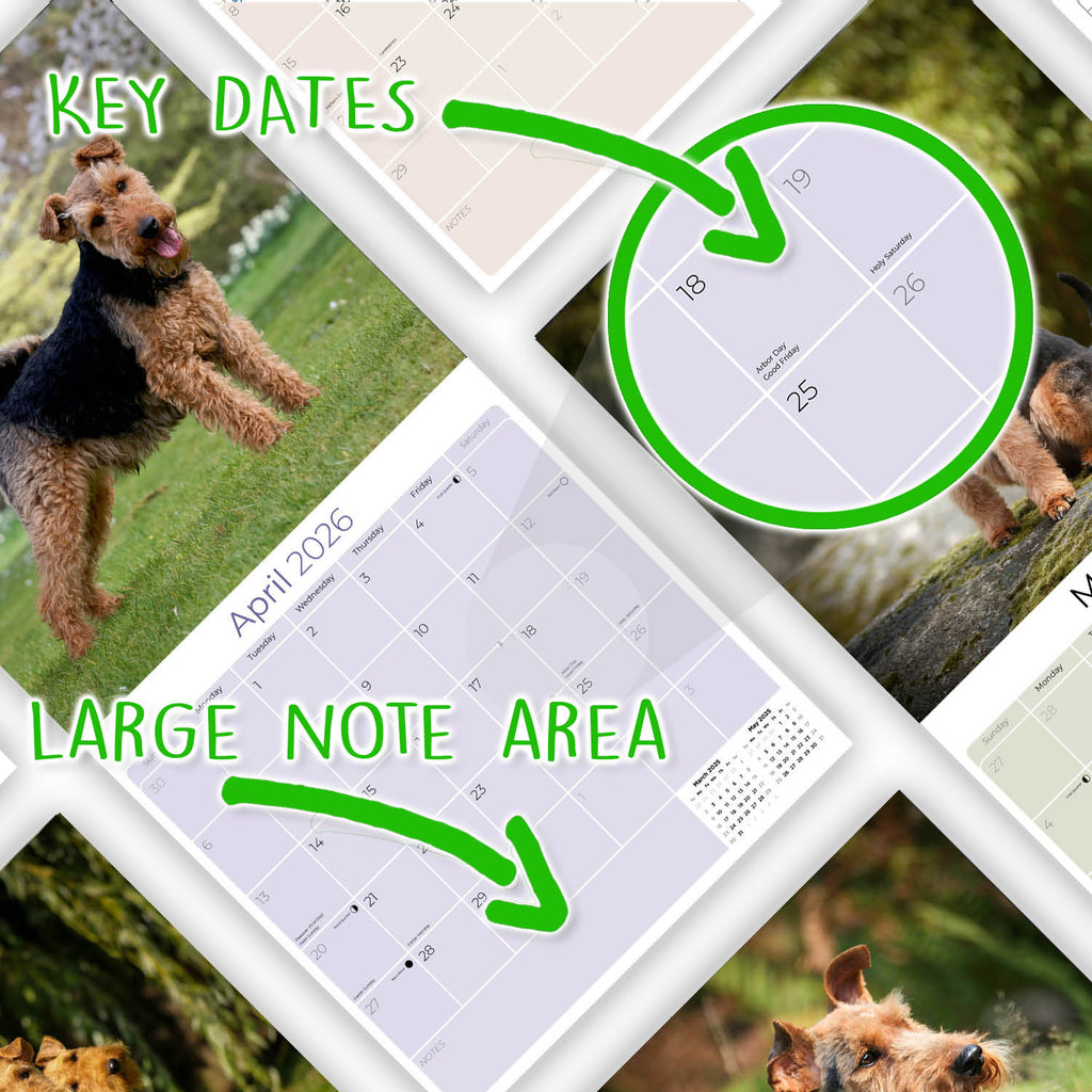Welsh Terrier Wall Calendar 2026