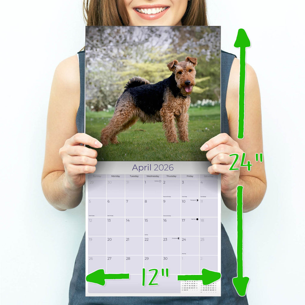 Welsh Terrier Wall Calendar 2026