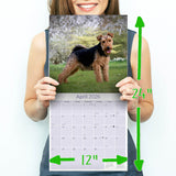 Welsh Terrier Wall Calendar 2026