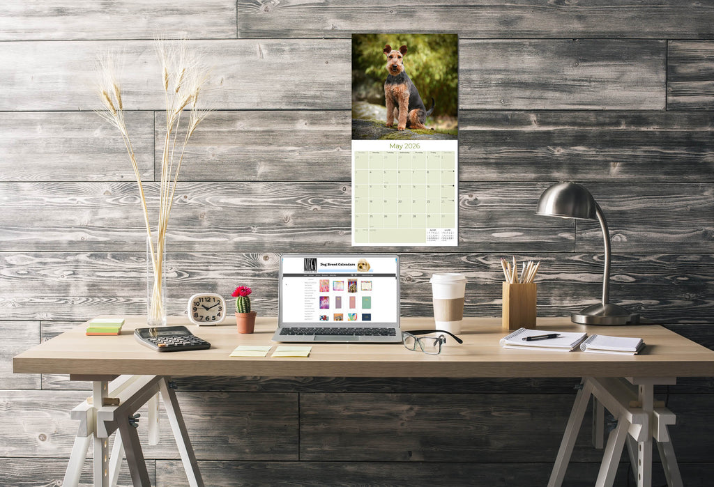 Welsh Terrier Wall Calendar 2026