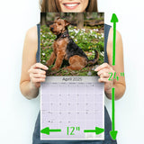 Welsh Terrier Wall Calendar 2025
