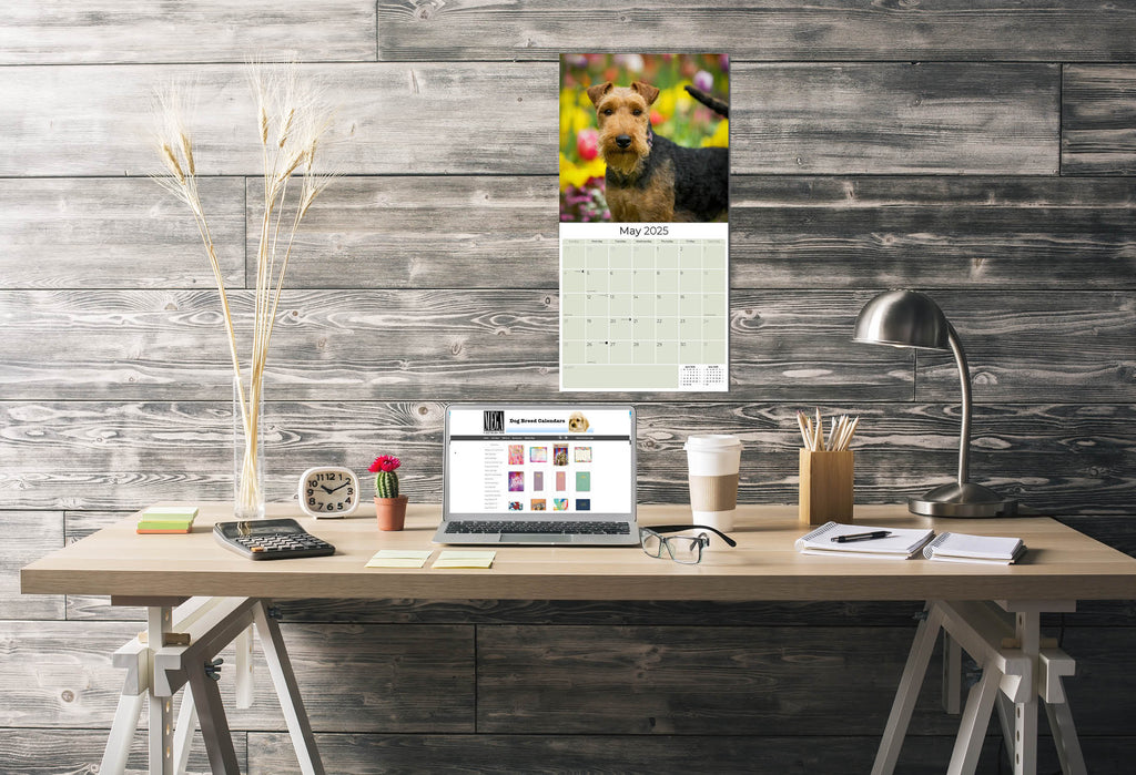 Welsh Terrier Wall Calendar 2025