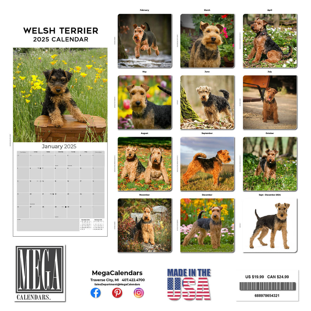 Welsh Terrier Wall Calendar 2025