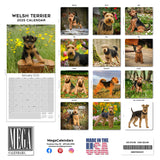 Welsh Terrier Wall Calendar 2025