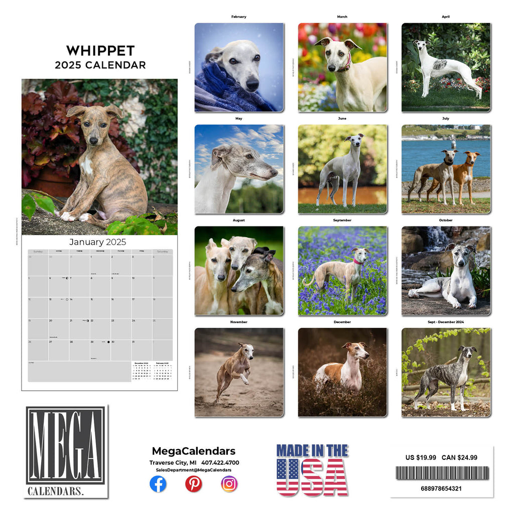 Whippet Wall Calendar 2025