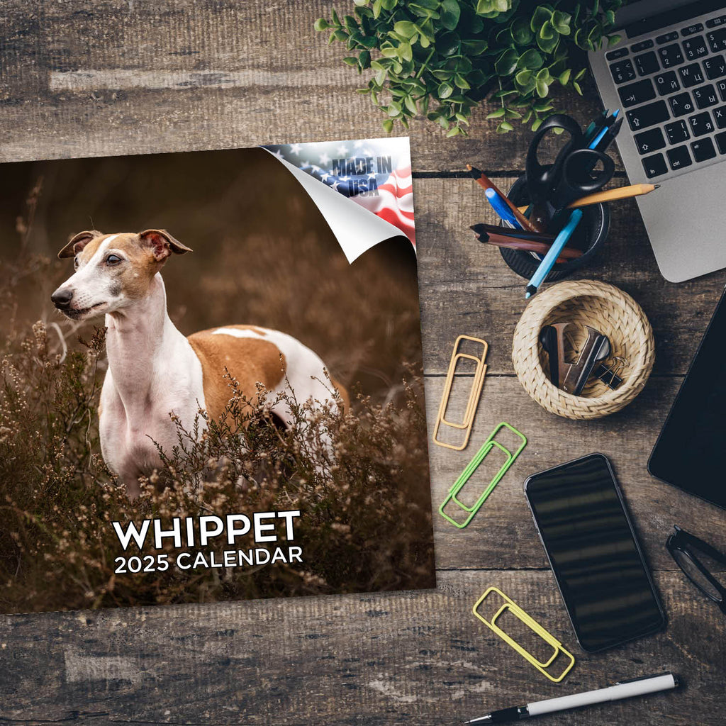 Whippet Wall Calendar 2025