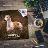 Whippet Wall Calendar 2025