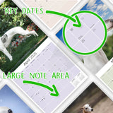 Whippet Wall Calendar 2025