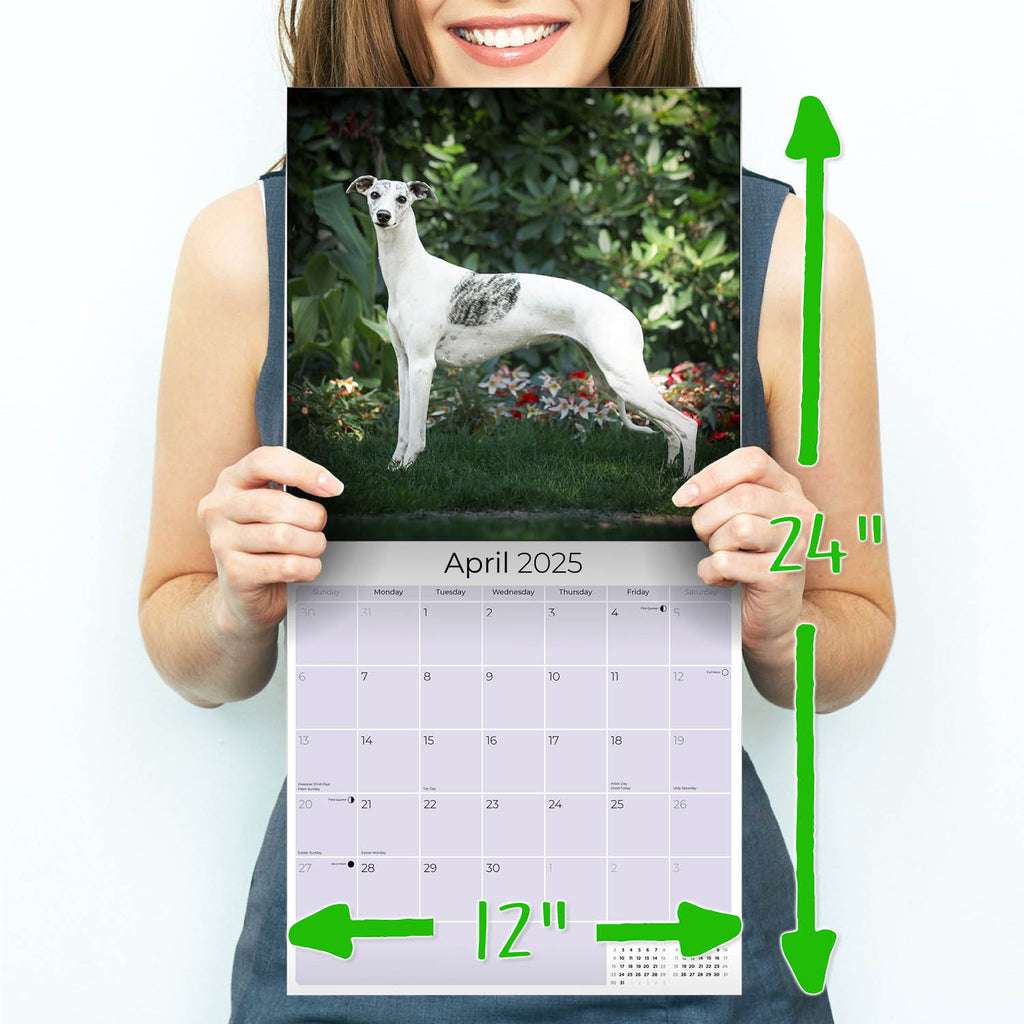 Whippet Wall Calendar 2025