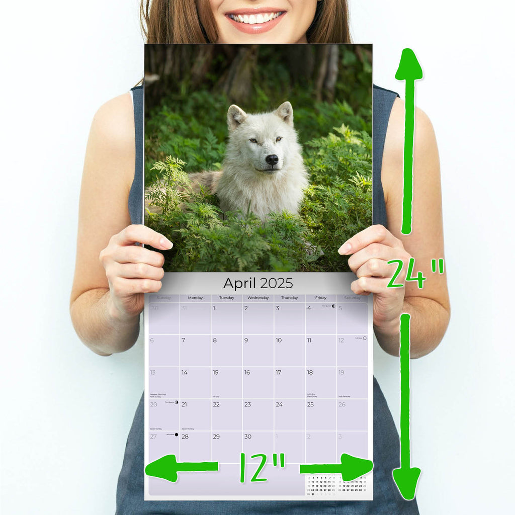 Wolves Wall Calendar 2025