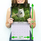 Wolves Wall Calendar 2025
