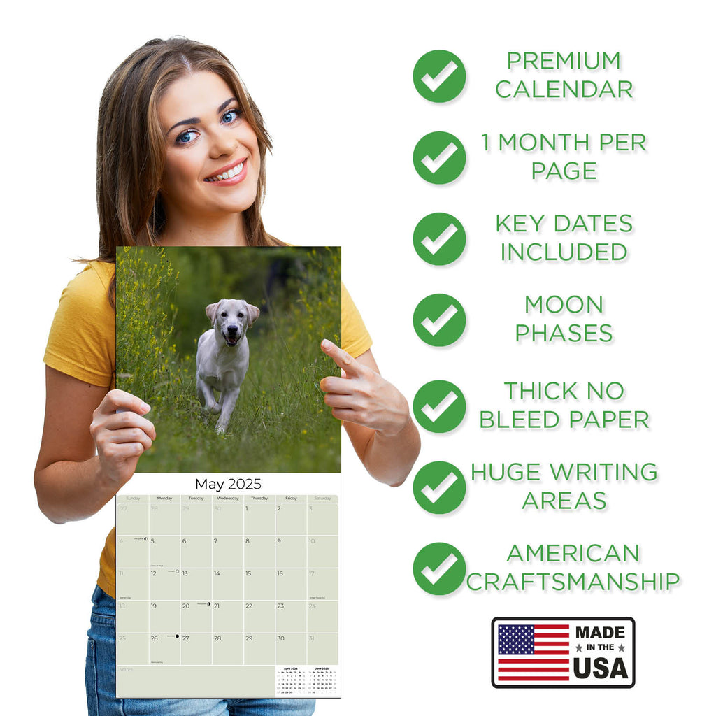 Labrador Ret (Yellow) Wall Calendar 2025