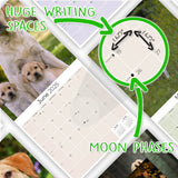 Labrador Ret (Yellow) Wall Calendar 2025