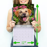 Labrador Ret (Yellow) Wall Calendar 2025
