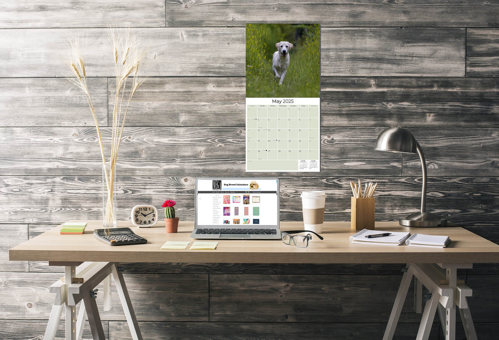 Labrador Ret (Yellow) Wall Calendar 2025