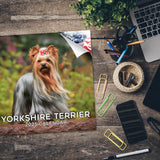 Yorkshire Terrier Wall Calendar 2025