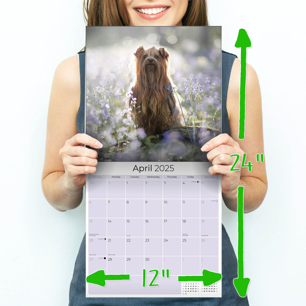 Yorkshire Terrier Wall Calendar 2025