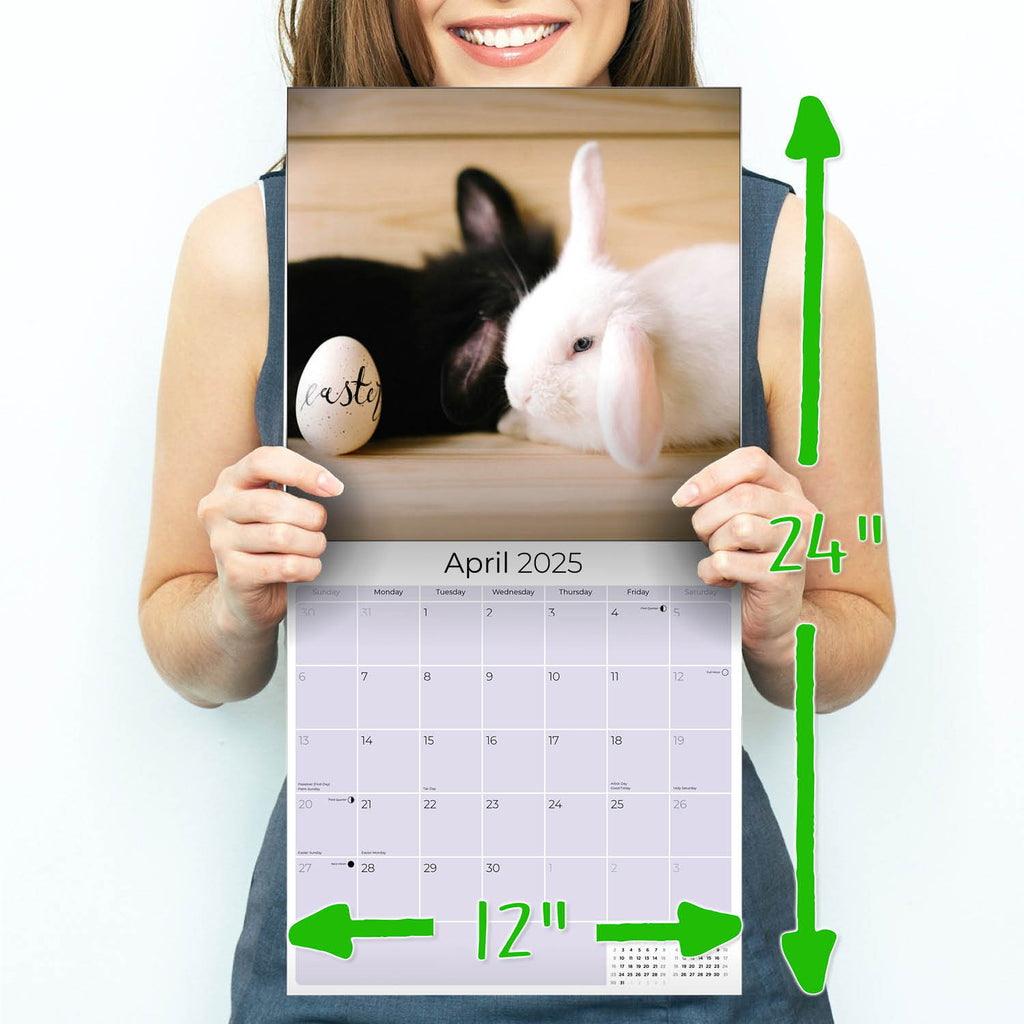 Lop Eared Rabbit Wall Calendar 2025
