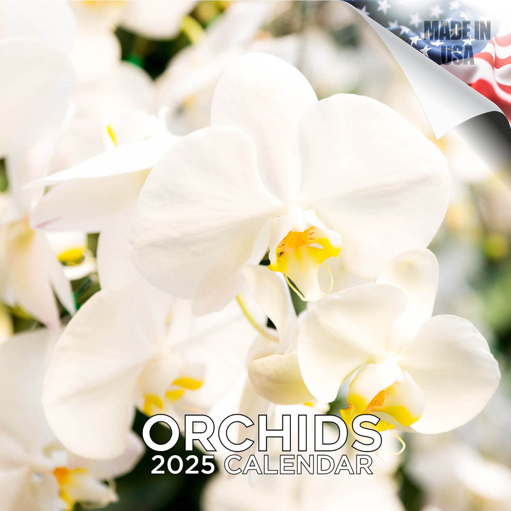 Orchids Wall Calendar 2025