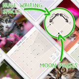 Kittens Wall Calendar 2025