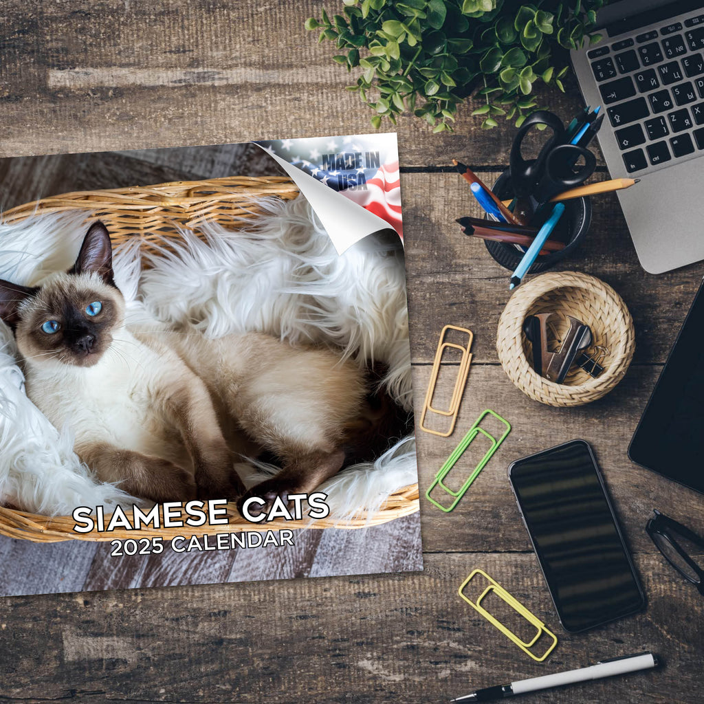 Cats - Siamese Wall Calendar 2025
