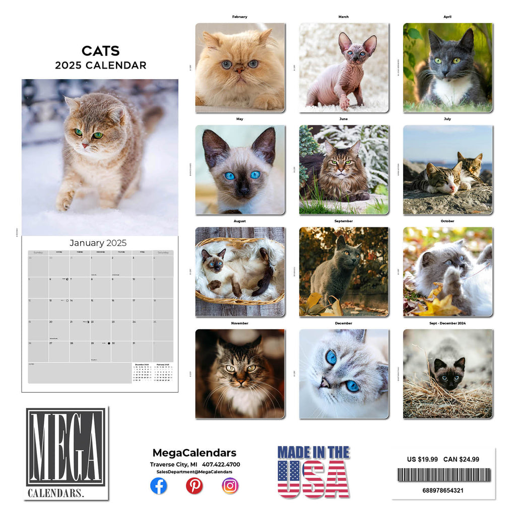 Cats Wall Calendar 2025
