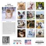 Cats Wall Calendar 2025
