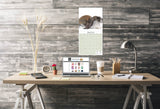 Lop Eared Rabbit Wall Calendar 2025