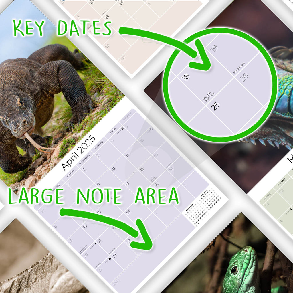 Lizards Wall Calendar 2025