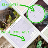 Lizards Wall Calendar 2025