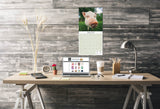 Pigs Wall Calendar 2025