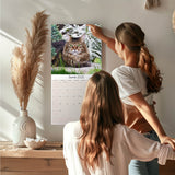Cats Wall Calendar 2025