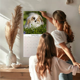 Lop Eared Rabbit Wall Calendar 2025