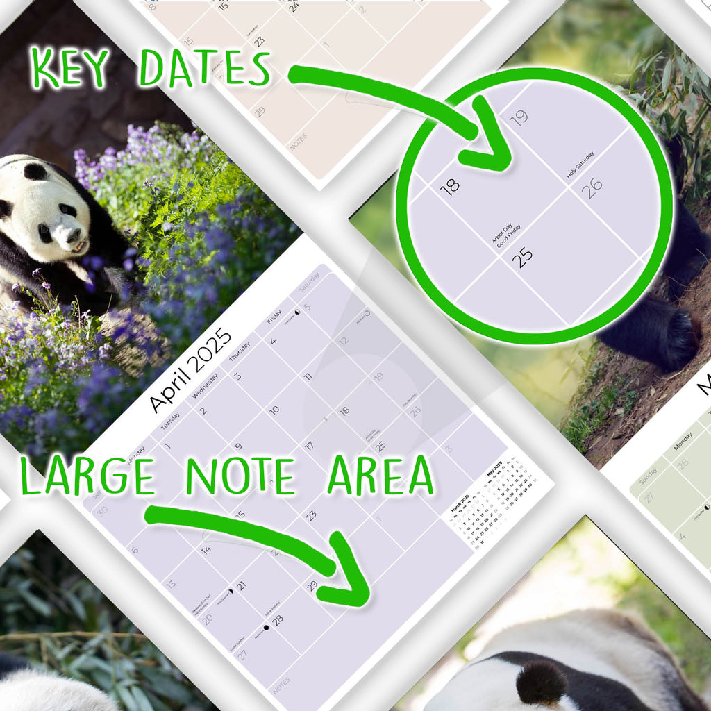 Pandas Wall Calendar 2025