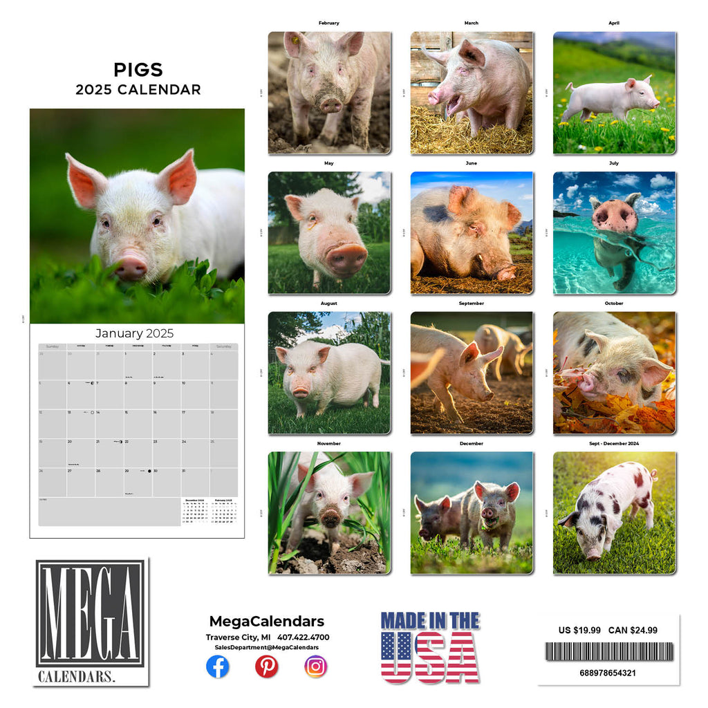 Pigs Wall Calendar 2025