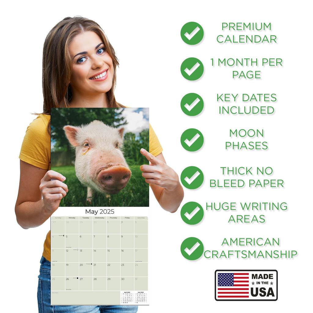 Pigs Wall Calendar 2025