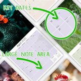Chickens Wall Calendar 2025