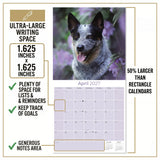 Blue Heeler Wall Calendar 2027 - 12" x 12" Monthly Quick Loyal Australian Herding Dog Breed Calendar