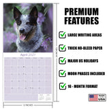 Blue Heeler Wall Calendar 2027 - 12" x 12" Monthly Quick Loyal Australian Herding Dog Breed Calendar
