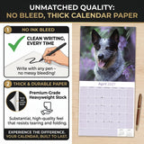Blue Heeler Wall Calendar 2027 - 12" x 12" Monthly Quick Loyal Australian Herding Dog Breed Calendar