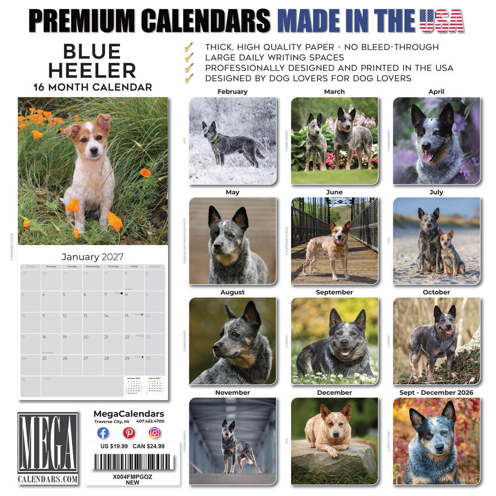 Blue Heeler Wall Calendar 2027 - 12" x 12" Monthly Quick Loyal Australian Herding Dog Breed Calendar