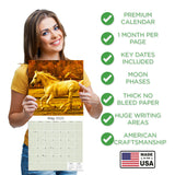 Horses Wall Calendar 2025