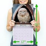 Owls Wall Calendar 2025