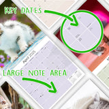Kittens Wall Calendar 2025