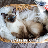 Cats - Siamese Wall Calendar 2025