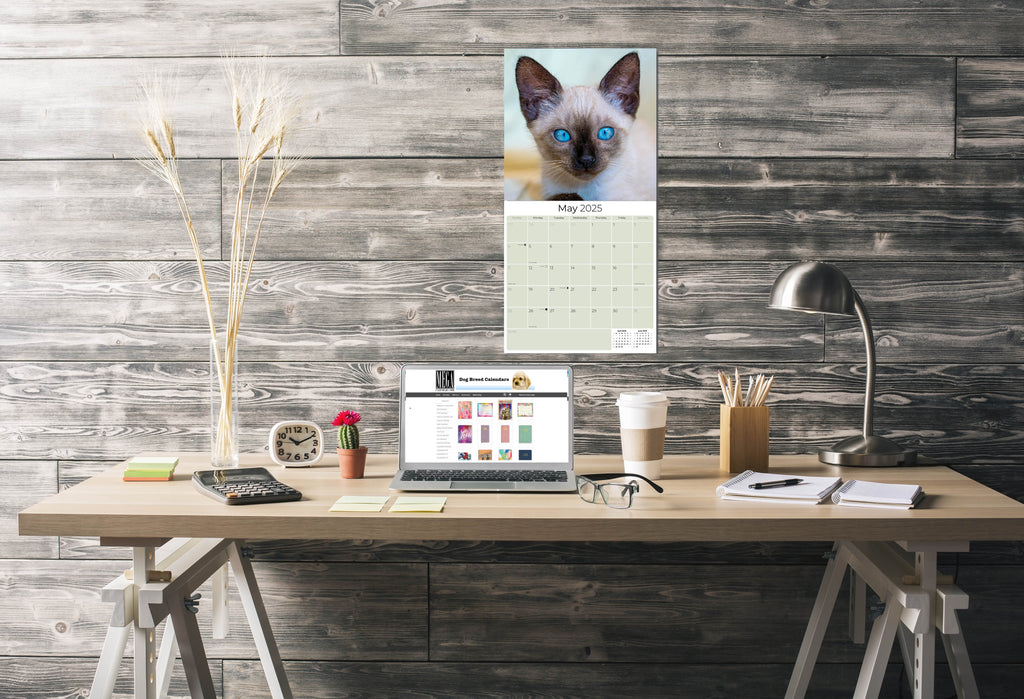 Cats - Siamese Wall Calendar 2025
