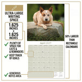 Australian Cattle Dog Wall Calendar 2027 - 12" x 12" 16-Month Intelligent and Resilient Dog Calendar