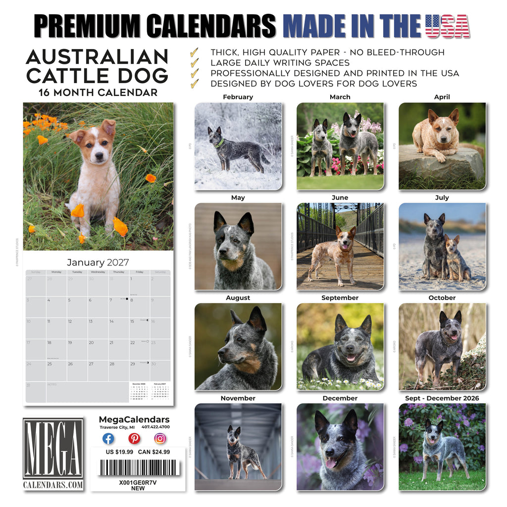 Australian Cattle Dog Wall Calendar 2027 - 12" x 12" 16-Month Intelligent and Resilient Dog Calendar