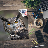 Owls Wall Calendar 2025