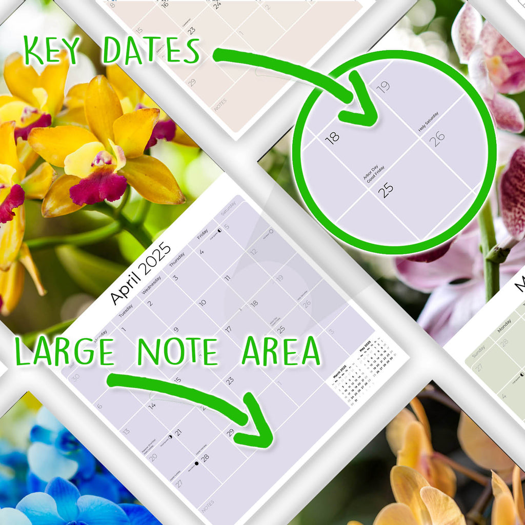 Orchids Wall Calendar 2025